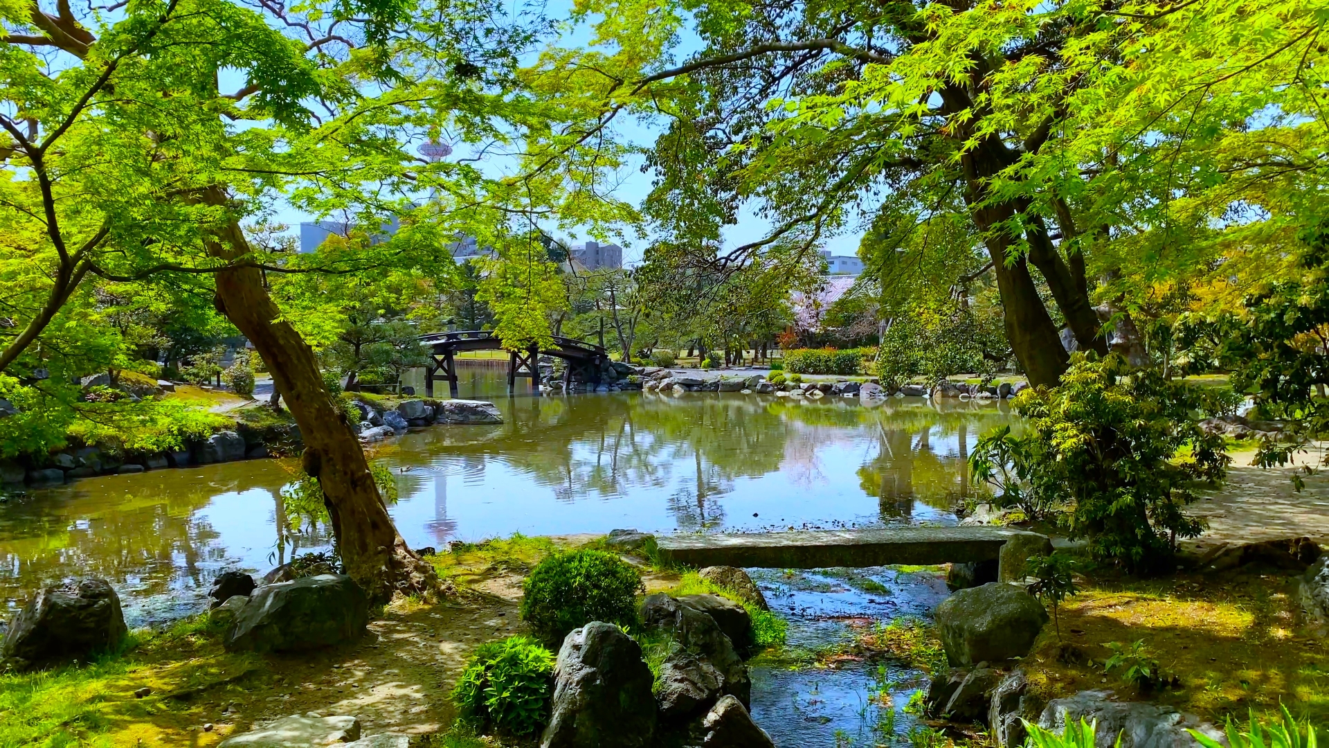 Hidden Garden Gems in Kyoto: 5 Beautiful Places to Visit During Rainy Season 5 22647973 m