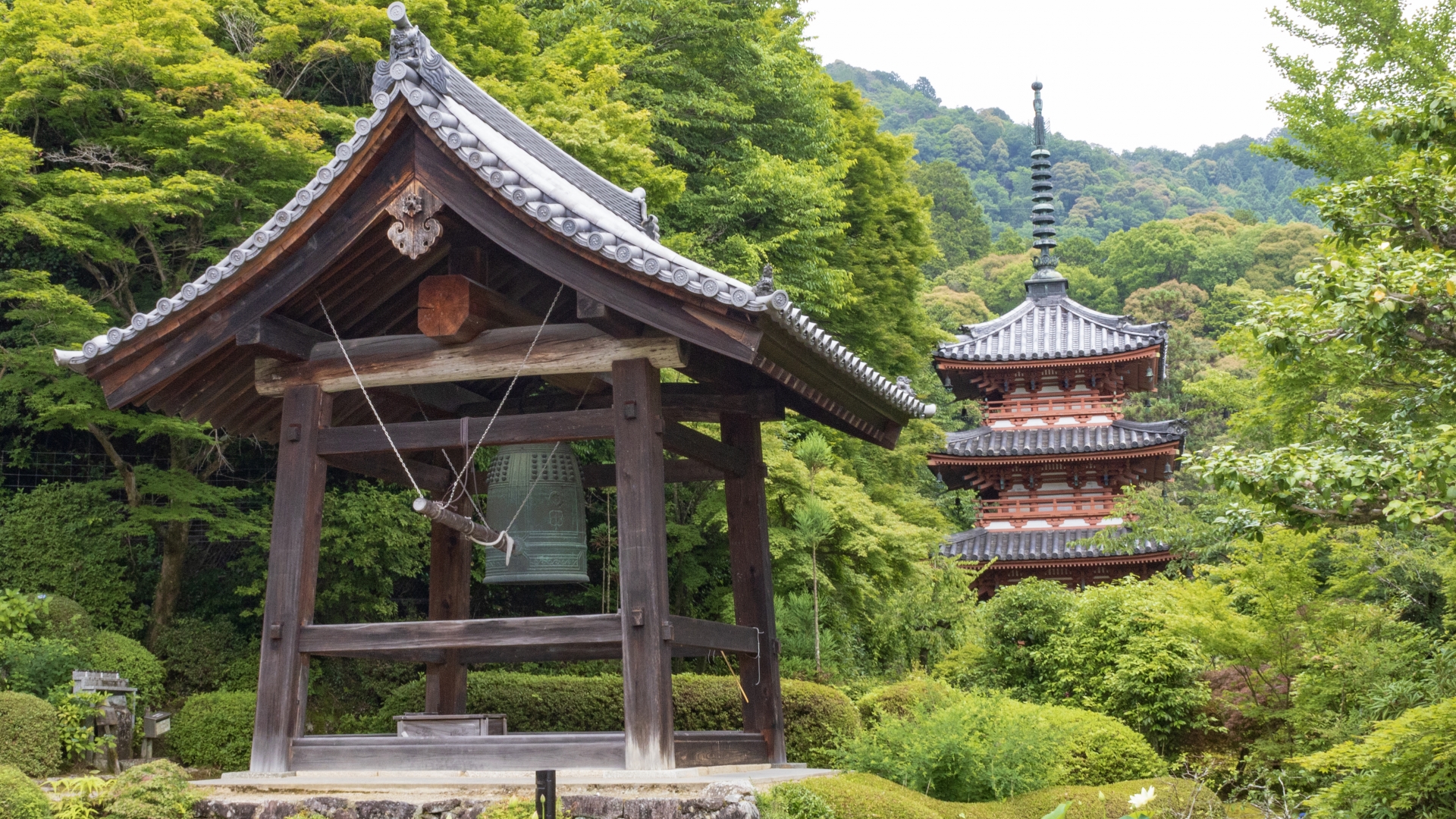Hidden Garden Gems in Kyoto: 5 Beautiful Places to Visit During Rainy Season 6 30167279 m