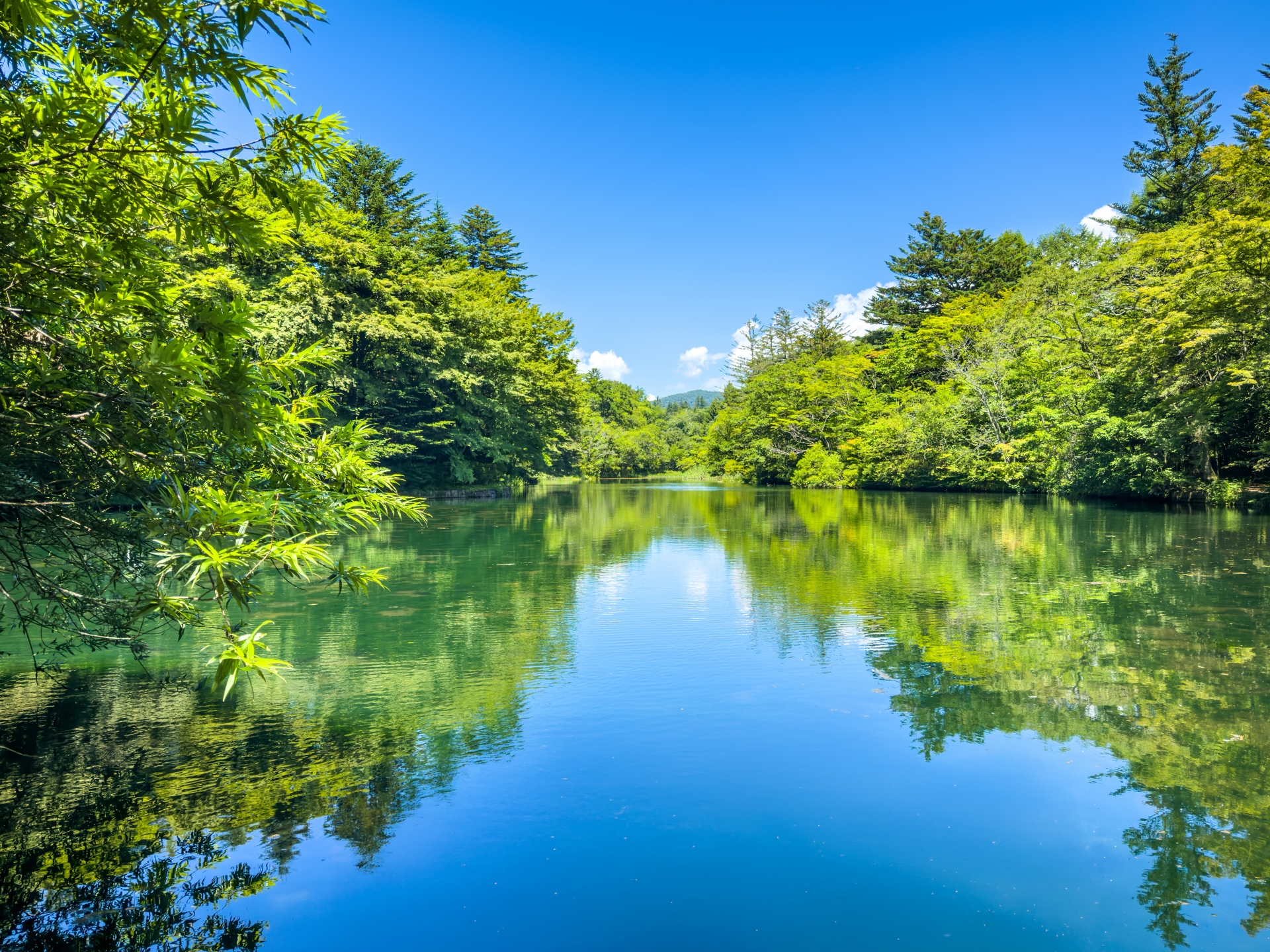 10 Stunning Countryside Destinations in Japan to Explore in Early Summer 2026 – Part 1 3 33187014 m