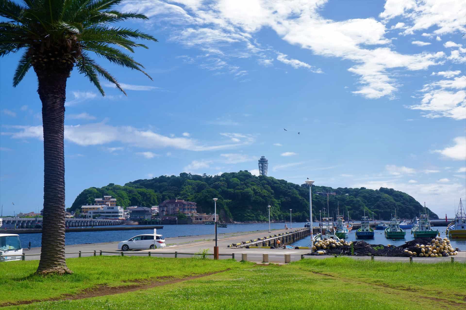 Kamakura & Enoshima Day Trip from Tokyo: A Perfect Coastal Escape 8 24584733 m