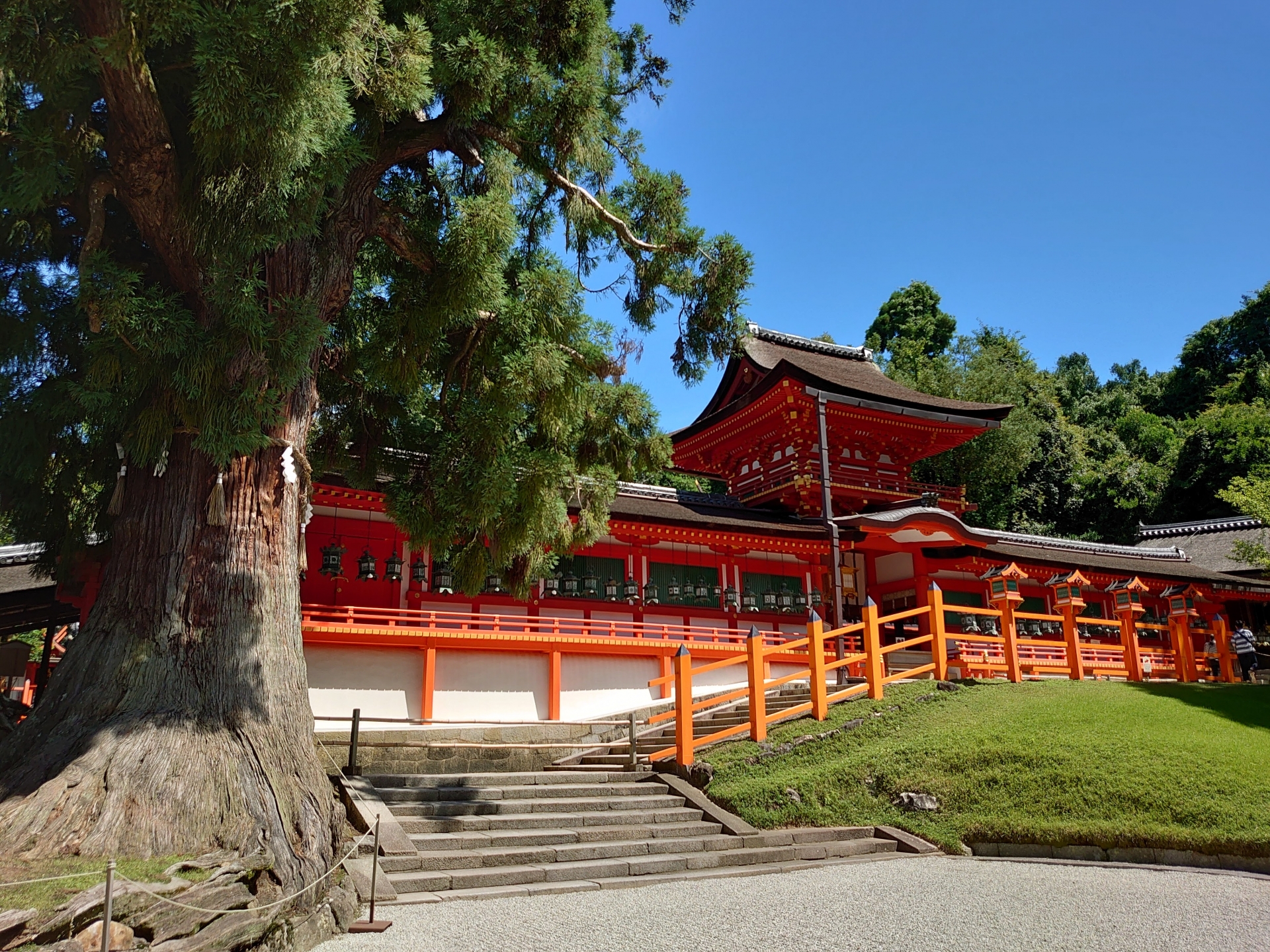 Nara Day Trip from Kyoto or Osaka: Deer, Temples & Traditional Japan 6 28173880 m 1