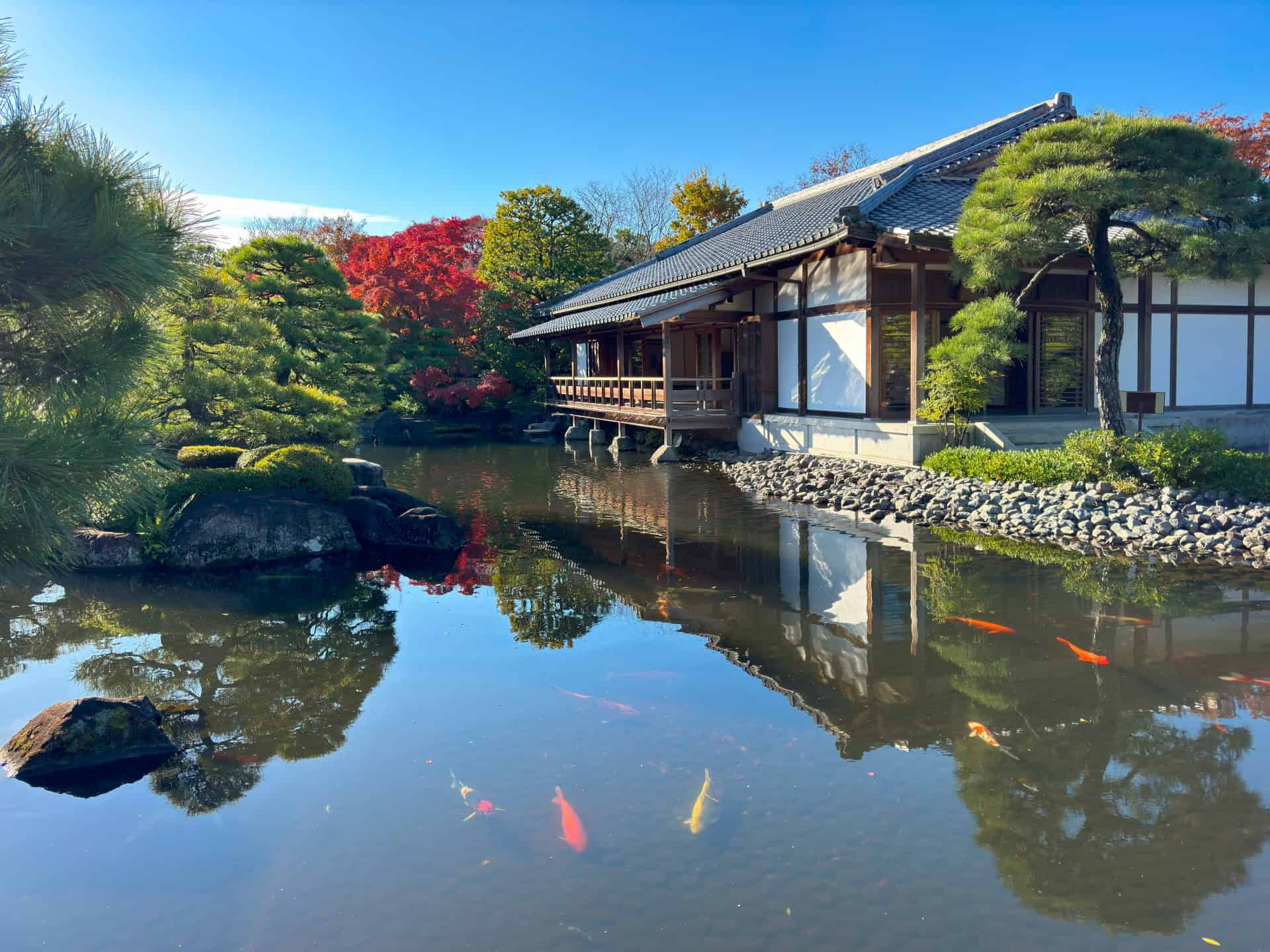 Himeji Castle Day Trip from Osaka or Kyoto: Discover Japan’s Magnificent White Castle 5 28470878 m