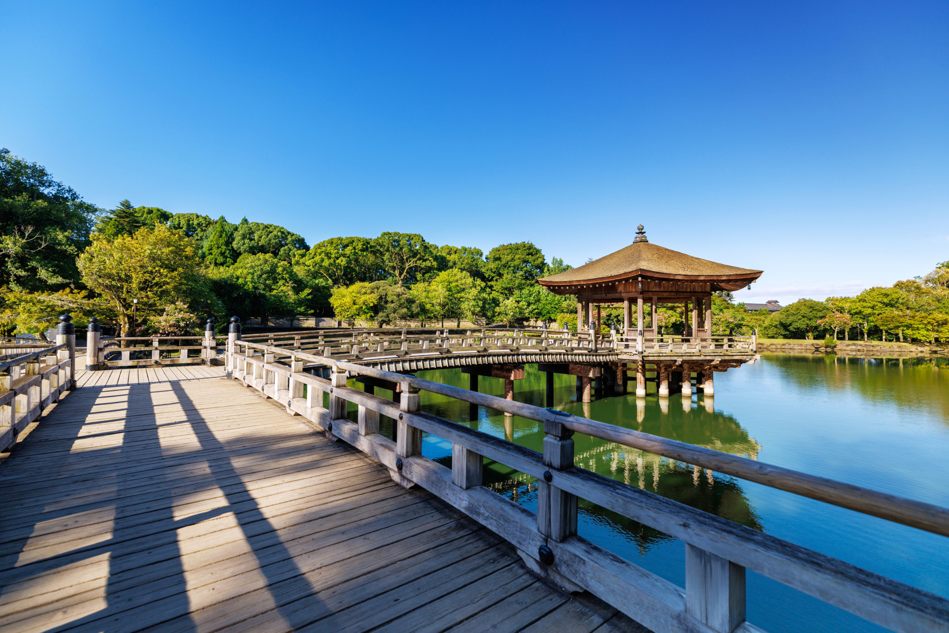 Nara Day Trip from Kyoto or Osaka: Deer, Temples & Traditional Japan 9 34669835 m
