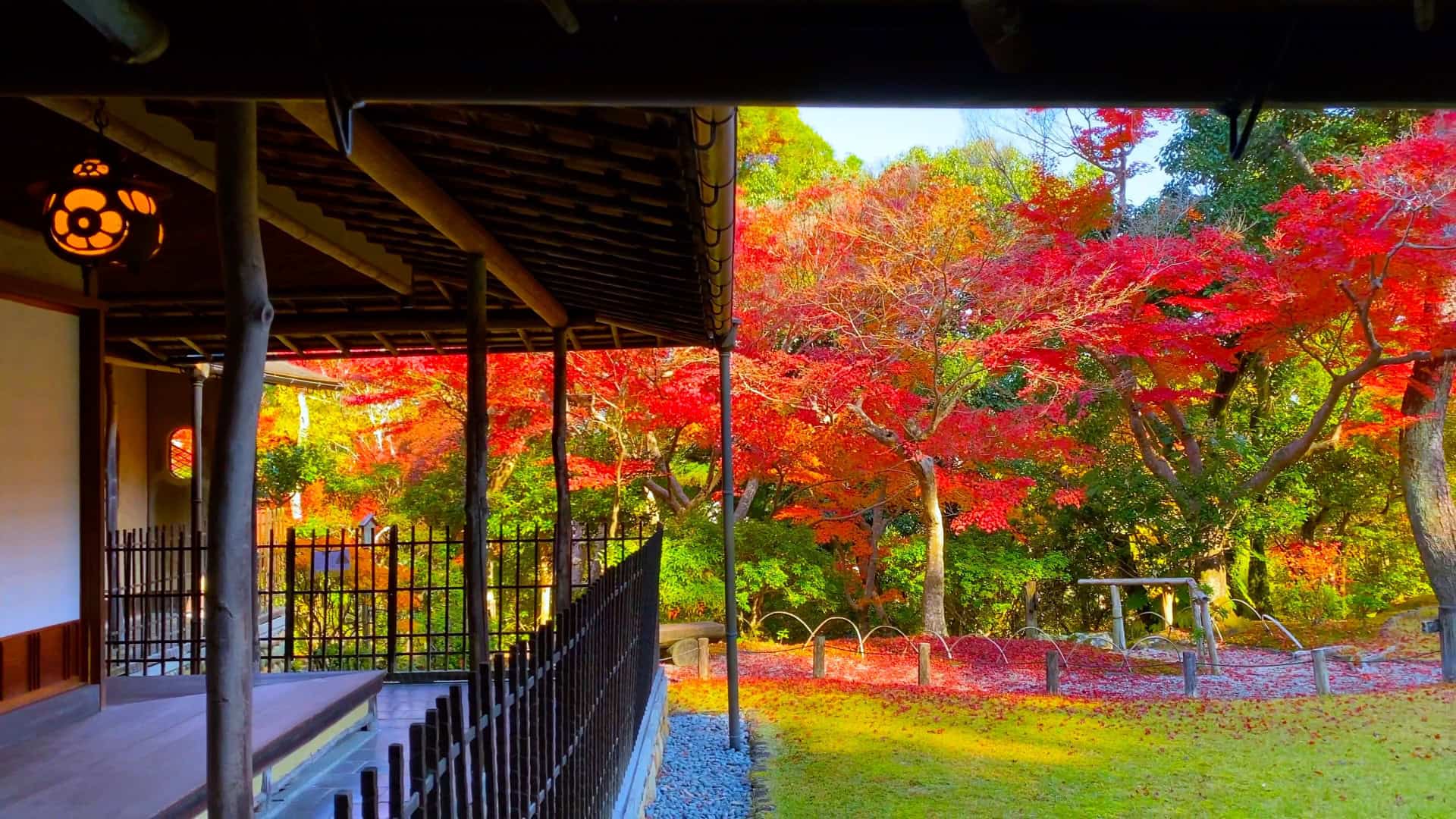 7 Beautiful Autumn Day Trips from Osaka & Kyoto 12 22689334 m