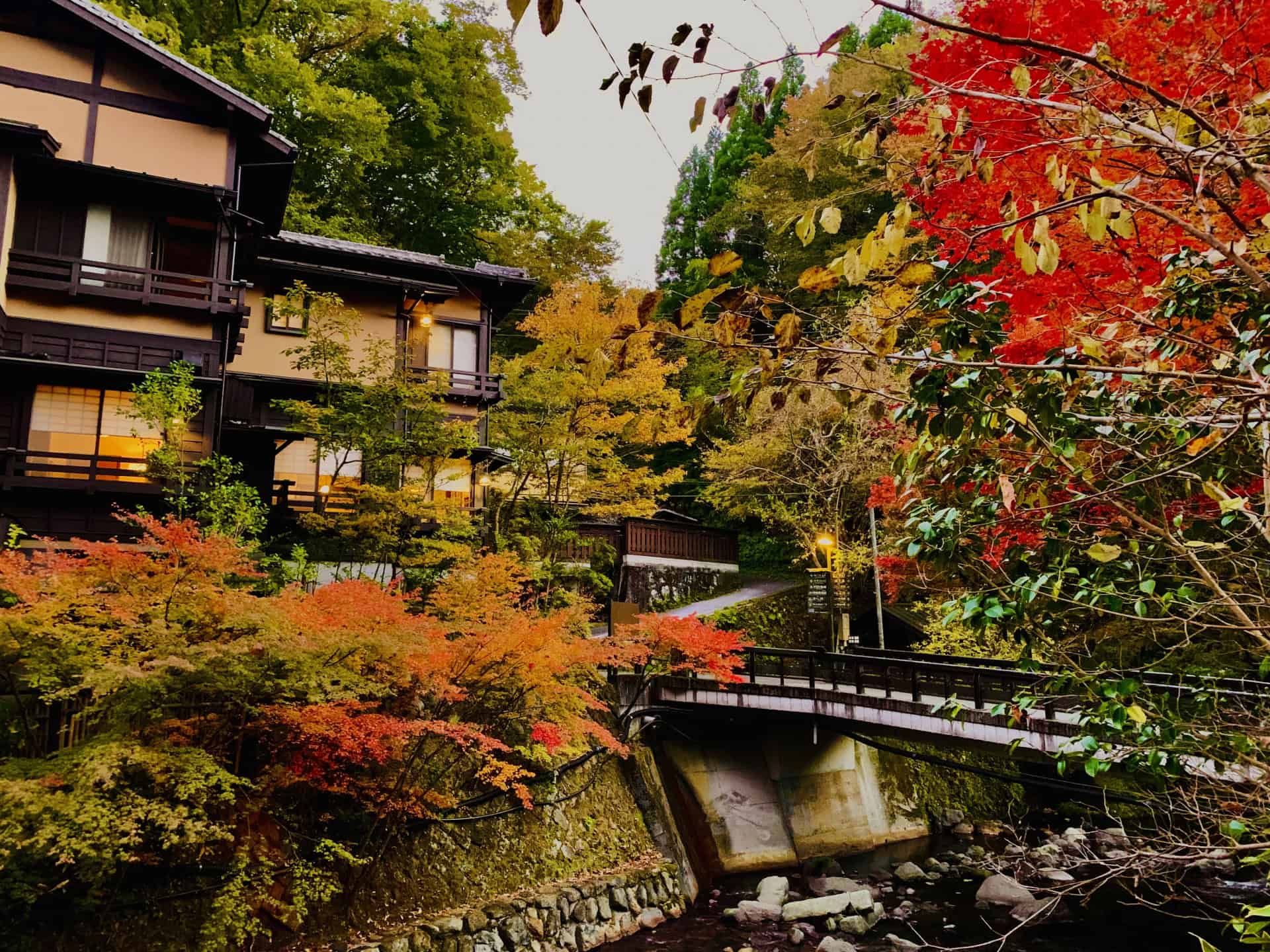 7 Traditional Japanese Experiences That Are Perfect for Autumn 9 22844390 m