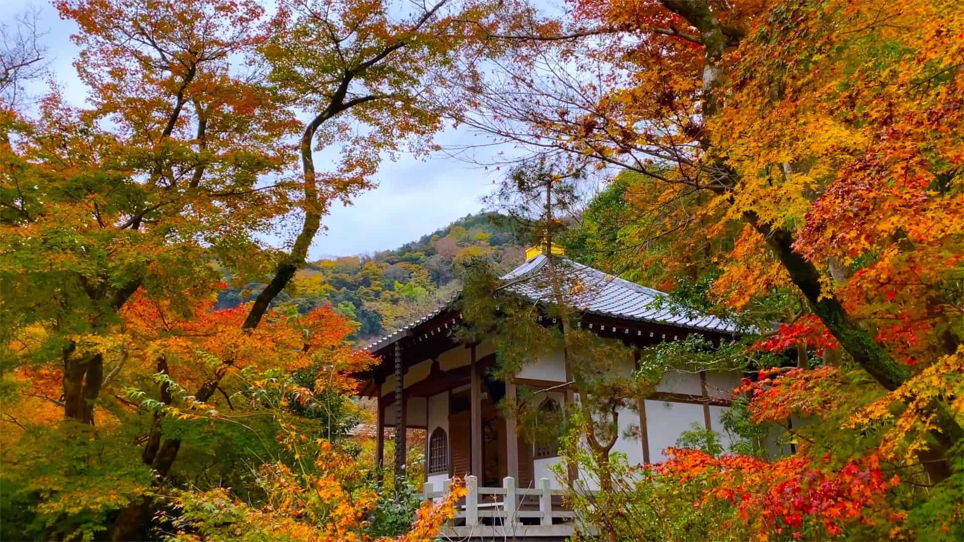 7 Beautiful Autumn Day Trips from Osaka & Kyoto 4 23149520 m 2