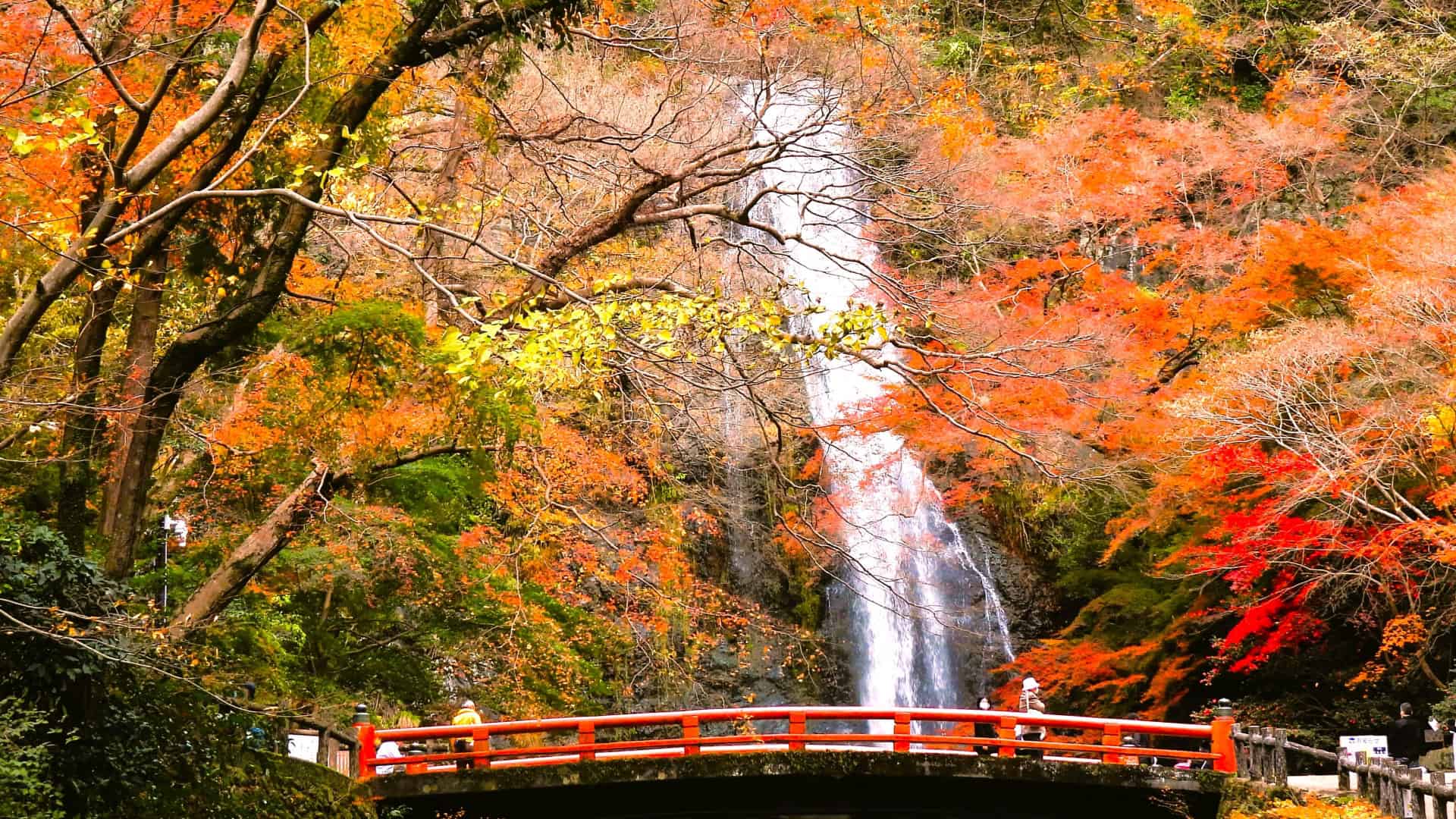 7 Beautiful Autumn Day Trips from Osaka & Kyoto 6 25430259 m 1