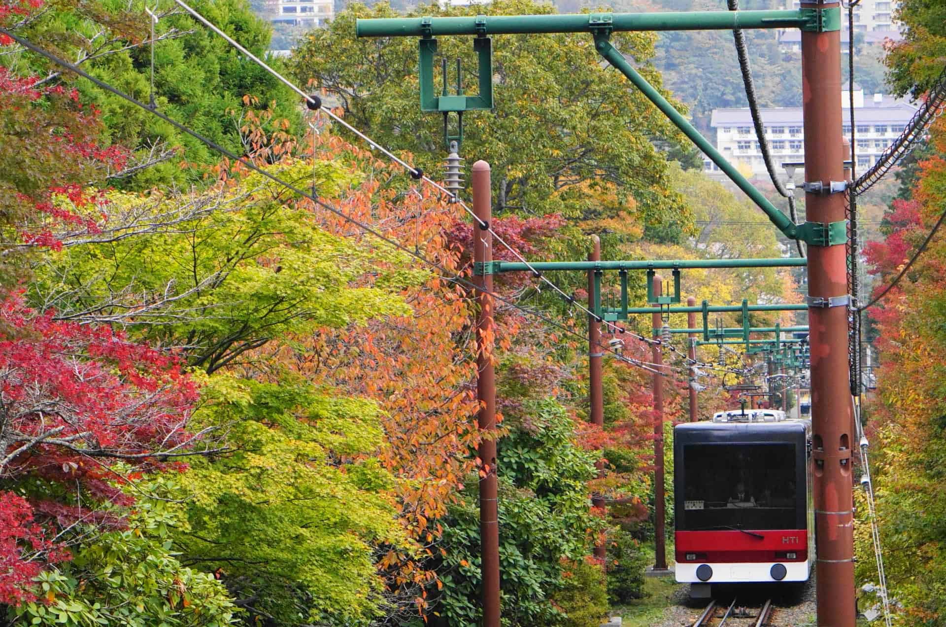 7 Best Places to Experience Early Autumn in Japan 9 26867334 m