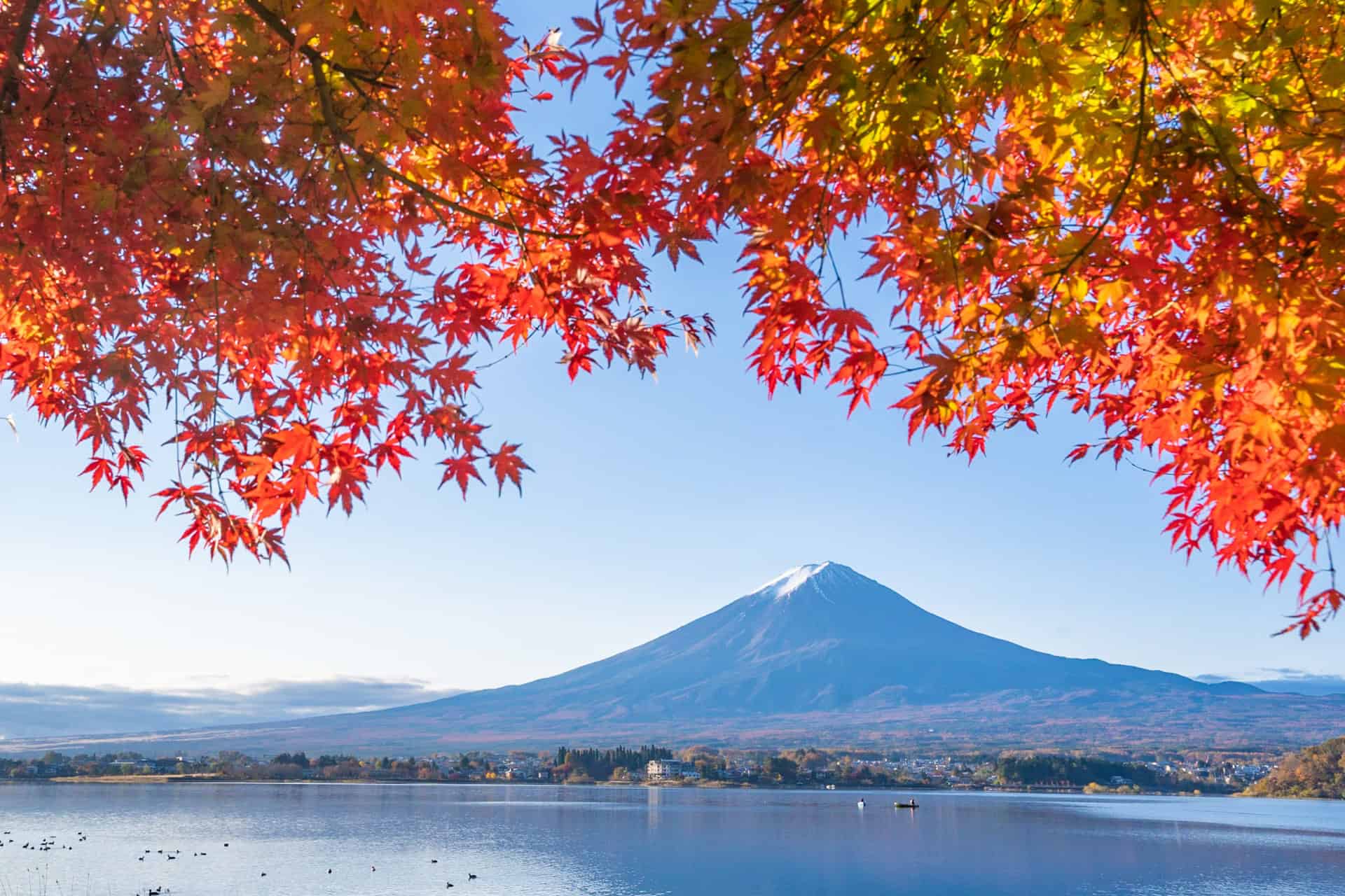 7 Beautiful Autumn Day Trips from Tokyo 3 28010837 m