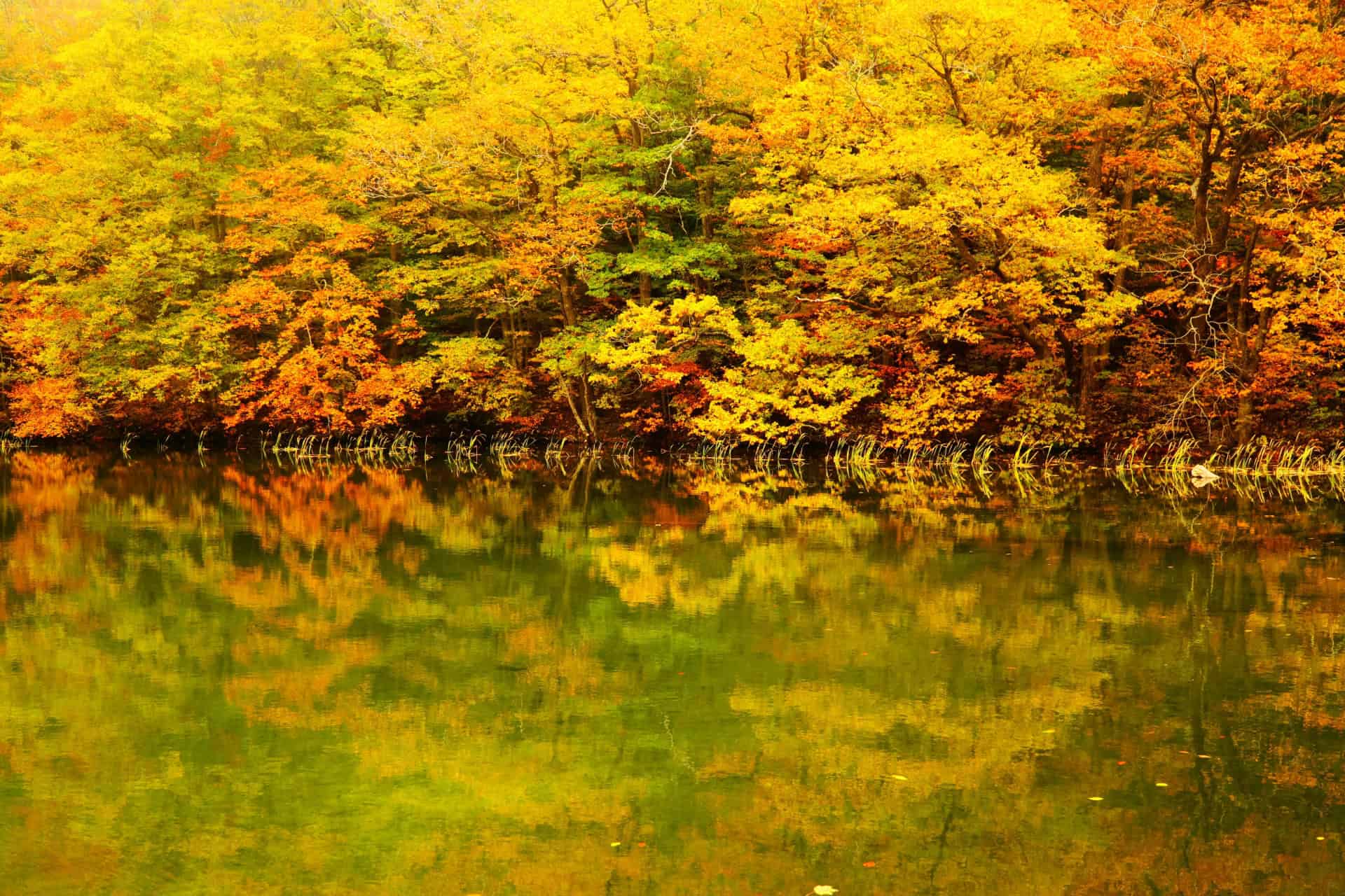 7 Best Places to Experience Early Autumn in Japan 6 28775906 m