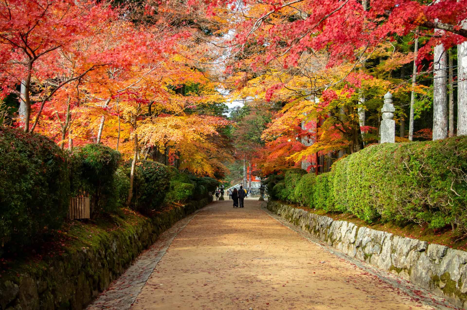 7 Beautiful Autumn Day Trips from Osaka & Kyoto 8 30437569 m