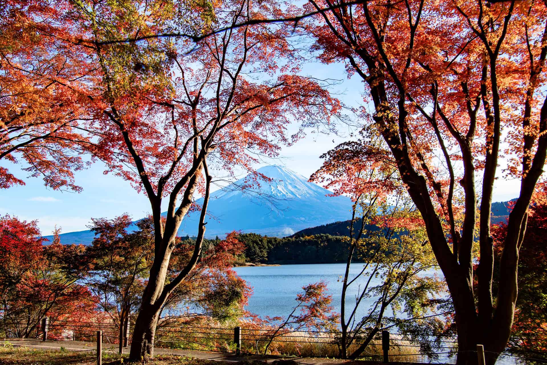 7 Best Places to Experience Early Autumn in Japan 10 33377769 m 1