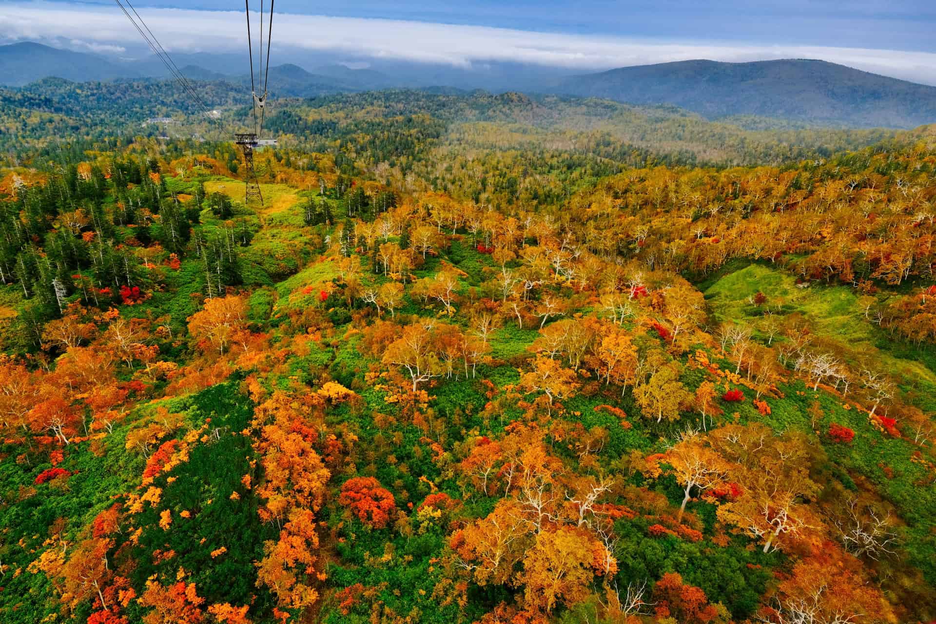 7 Best Places to Experience Early Autumn in Japan 4 4000892 m