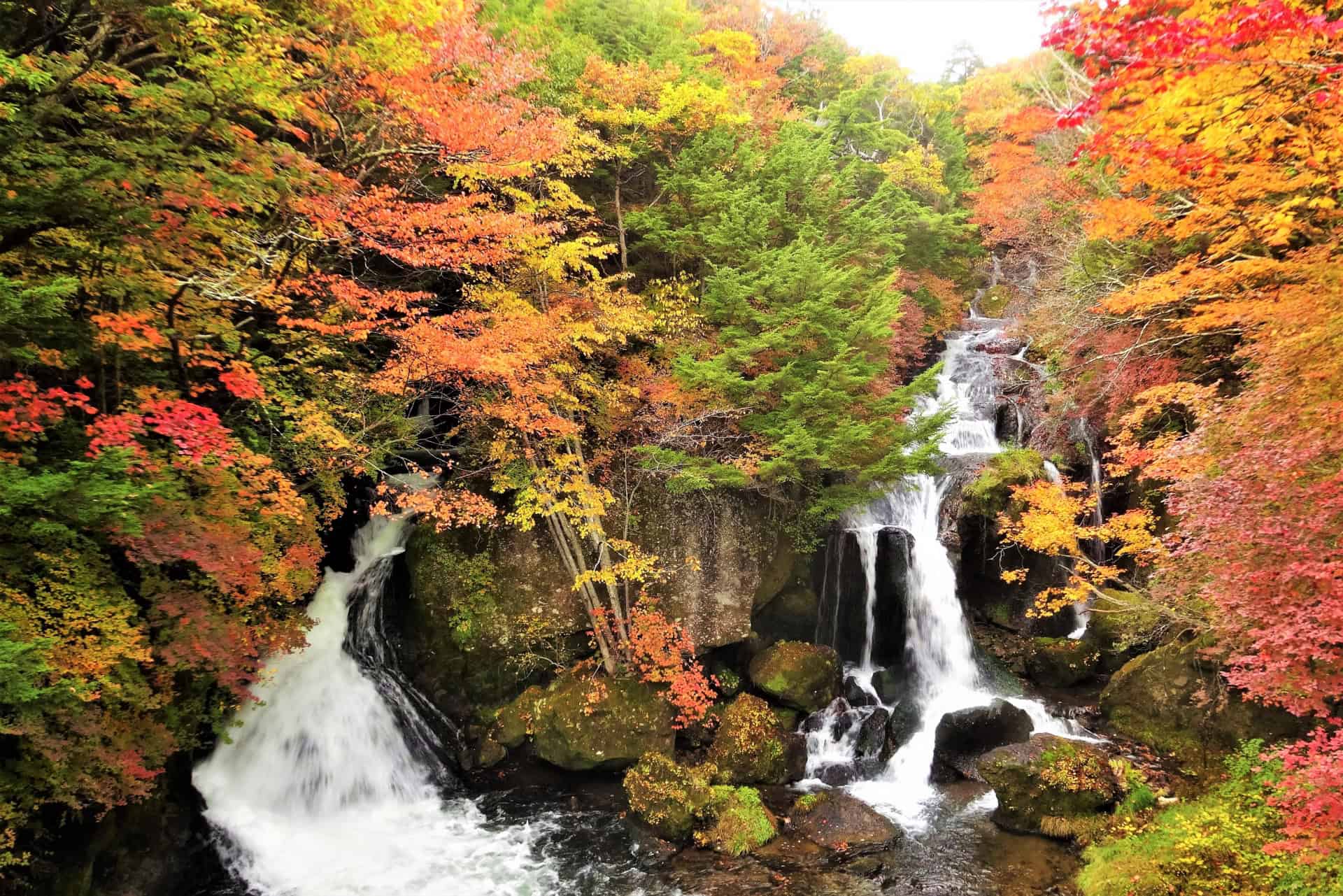 7 Best Places to Experience Early Autumn in Japan 8 4047881 m