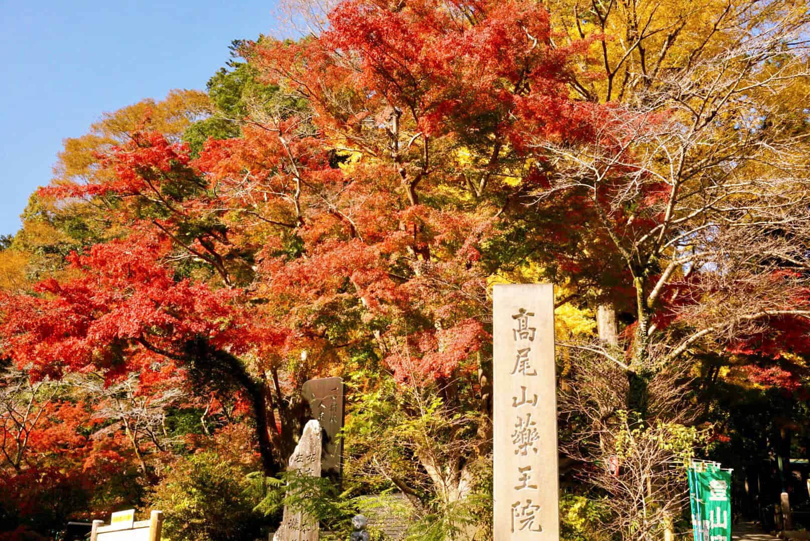 7 Beautiful Autumn Day Trips from Tokyo 9 4838994 m 1