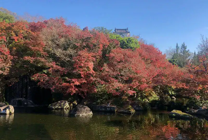 Himeji Castle framed by autumn maple foliage