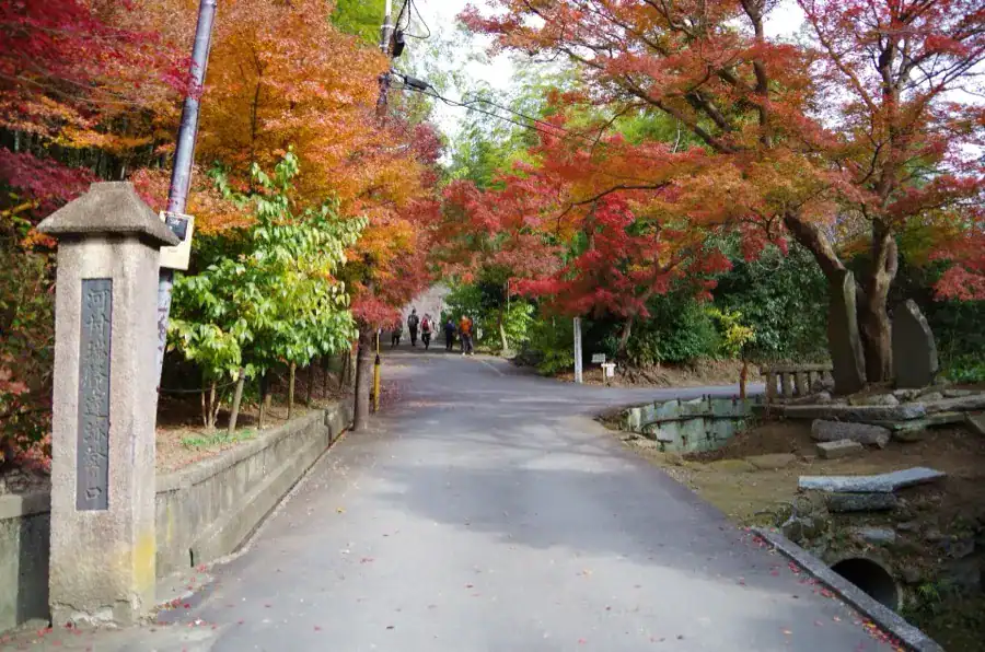 Autumn foliage along the approach path at Kenchoji temple, Kamakura