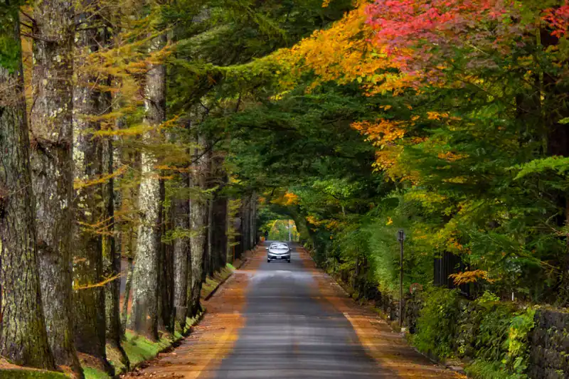 Autumn foliage tunnel over the road in Karuizawa