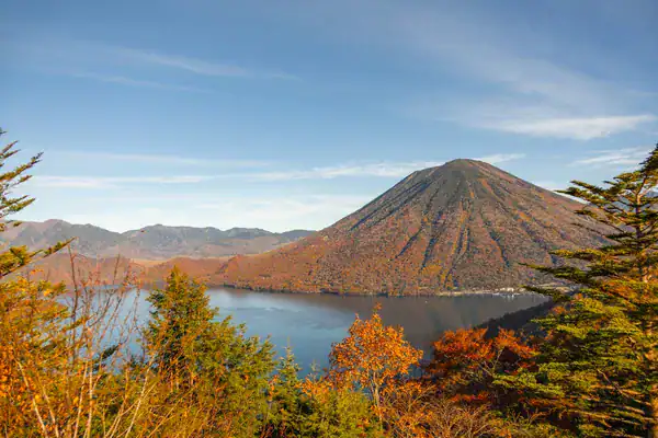Nikko private day tour from Tokyo