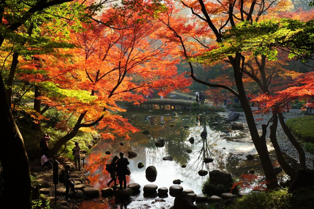 7 Beautiful Autumn Foliage Spots in Tokyo to Add to Your Tokyo Itinerary