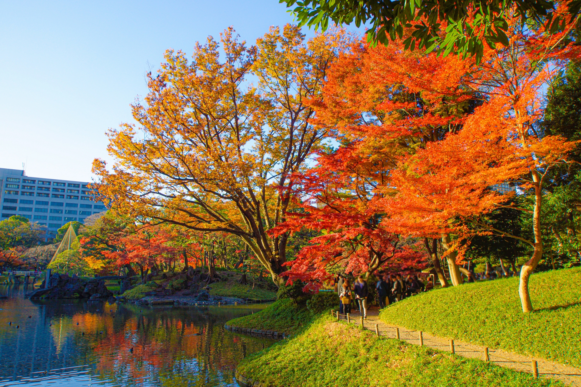7 Beautiful Autumn Foliage Spots in Tokyo to Add to Your Tokyo Itinerary 3 24907833 m