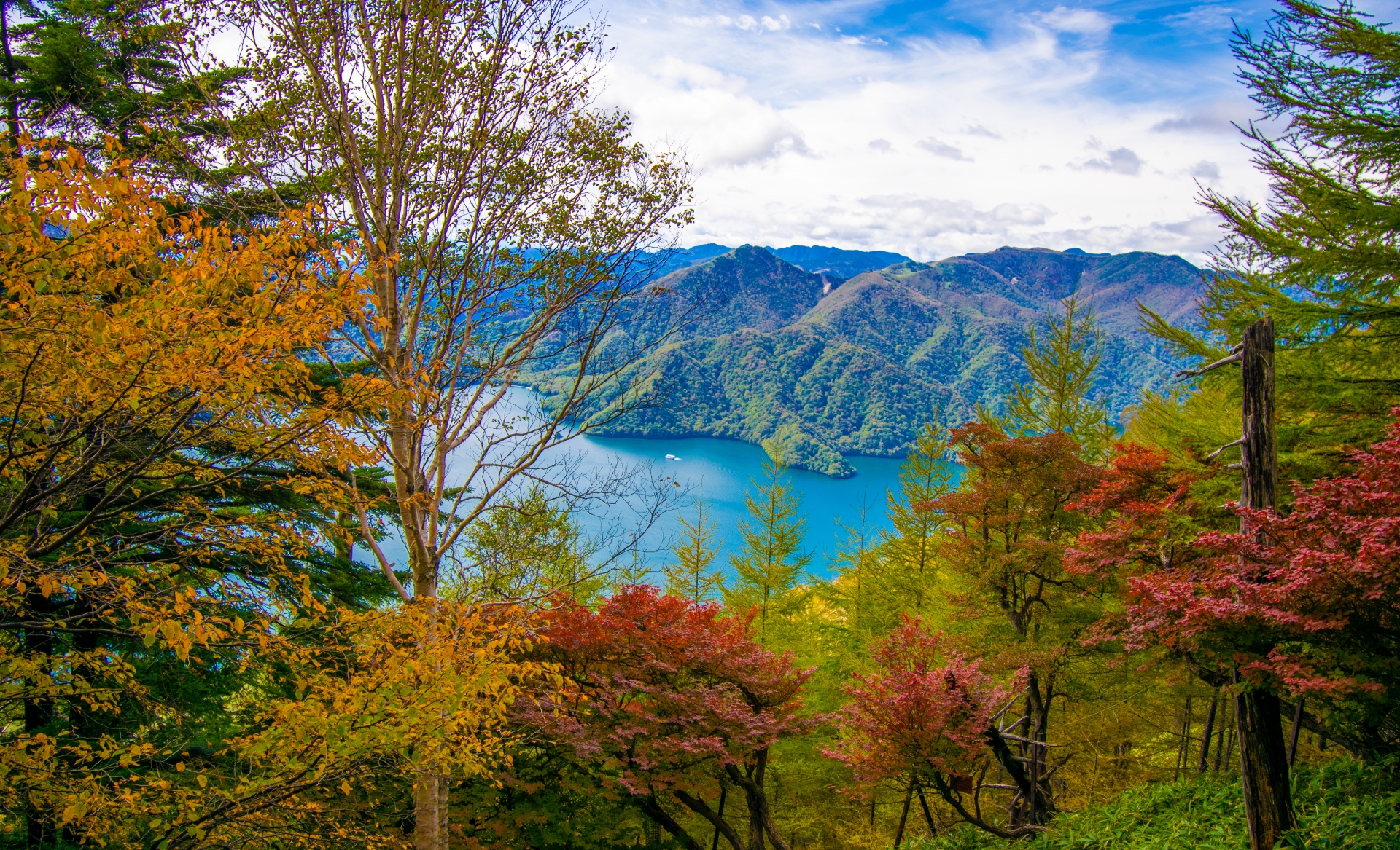 Nikko in Autumn: A Scenic Day Trip from Tokyo 4 25081777 m
