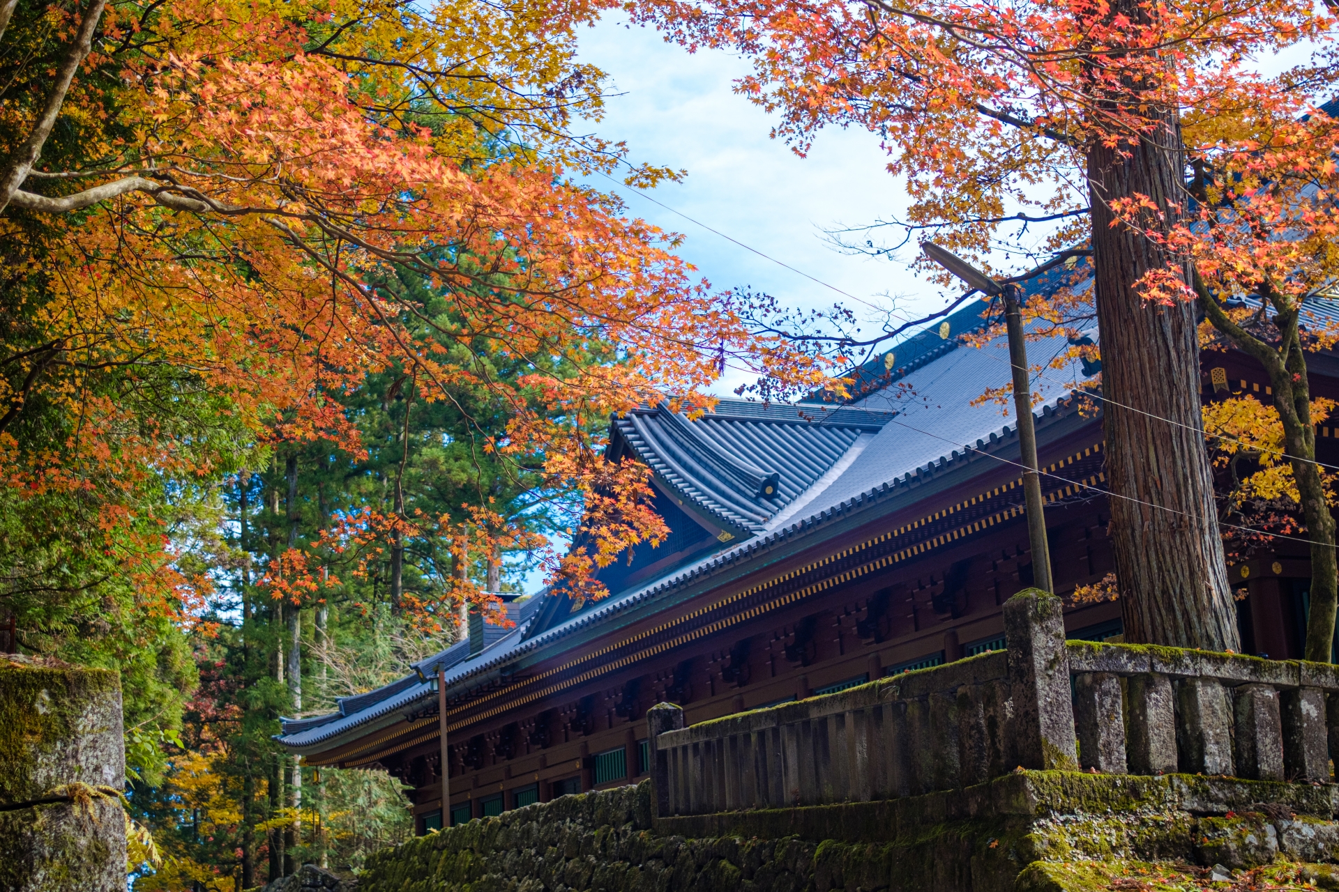 Nikko in Autumn: A Scenic Day Trip from Tokyo 7 25361204 m