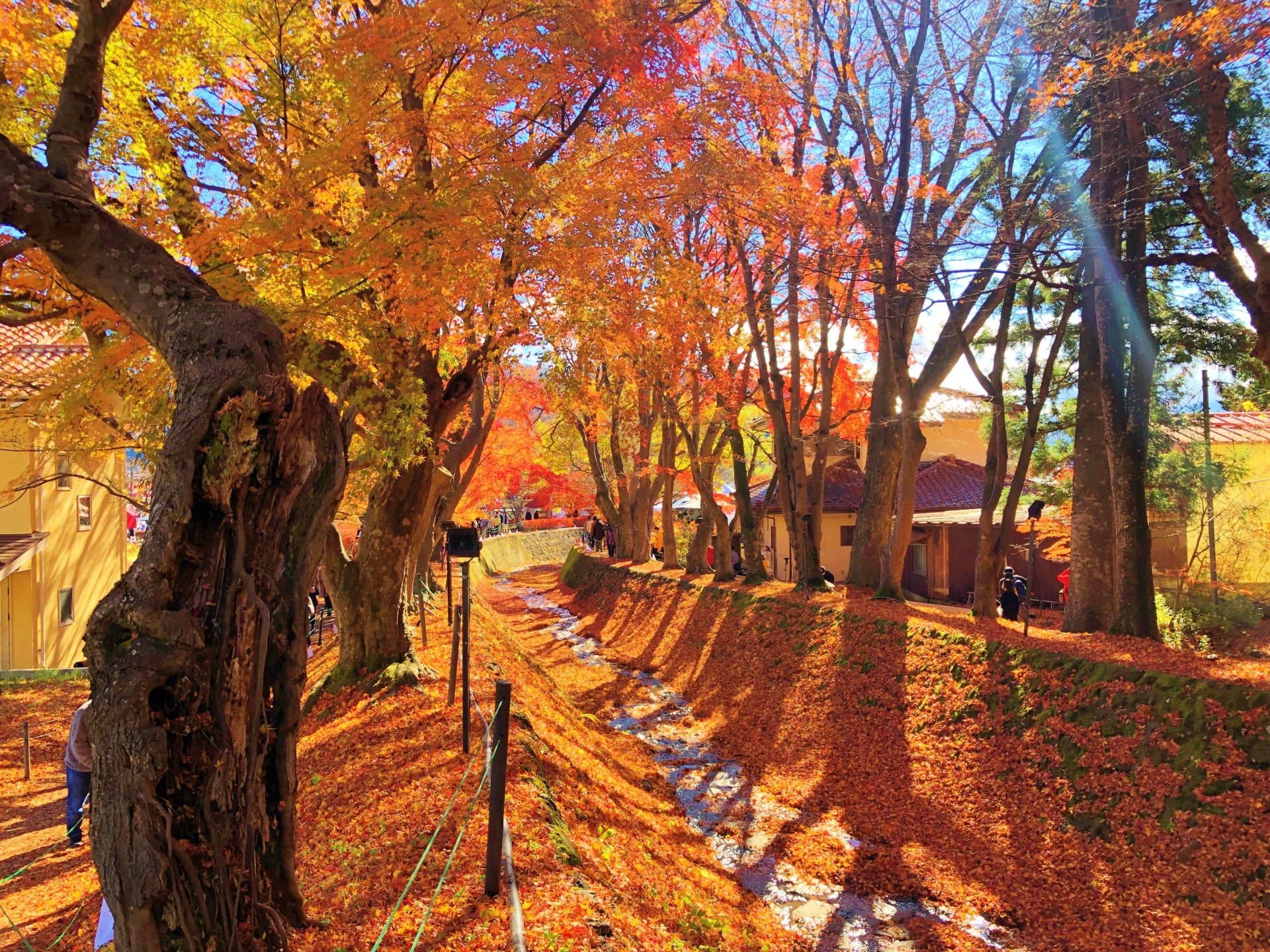 Mt. Fuji in Autumn: 7 Beautiful Places to See Japan’s Iconic Mountain 6 26641872 m