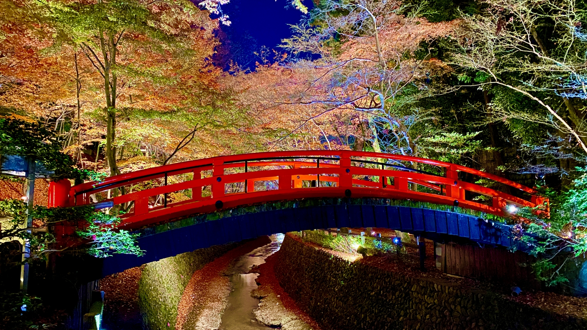 7 Best Places to See Autumn Colours in Kyoto 9 26756486 m