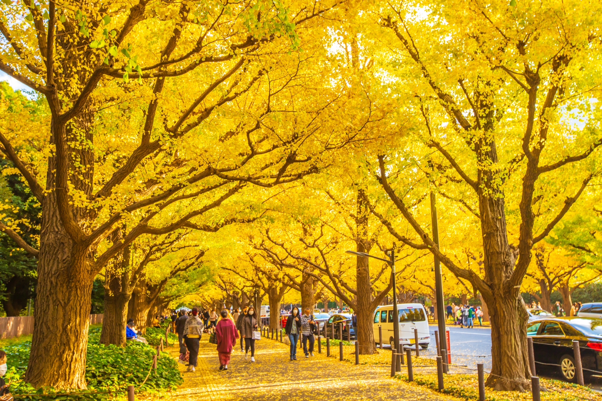 7 Beautiful Autumn Foliage Spots in Tokyo to Add to Your Tokyo Itinerary 4 27435981 m