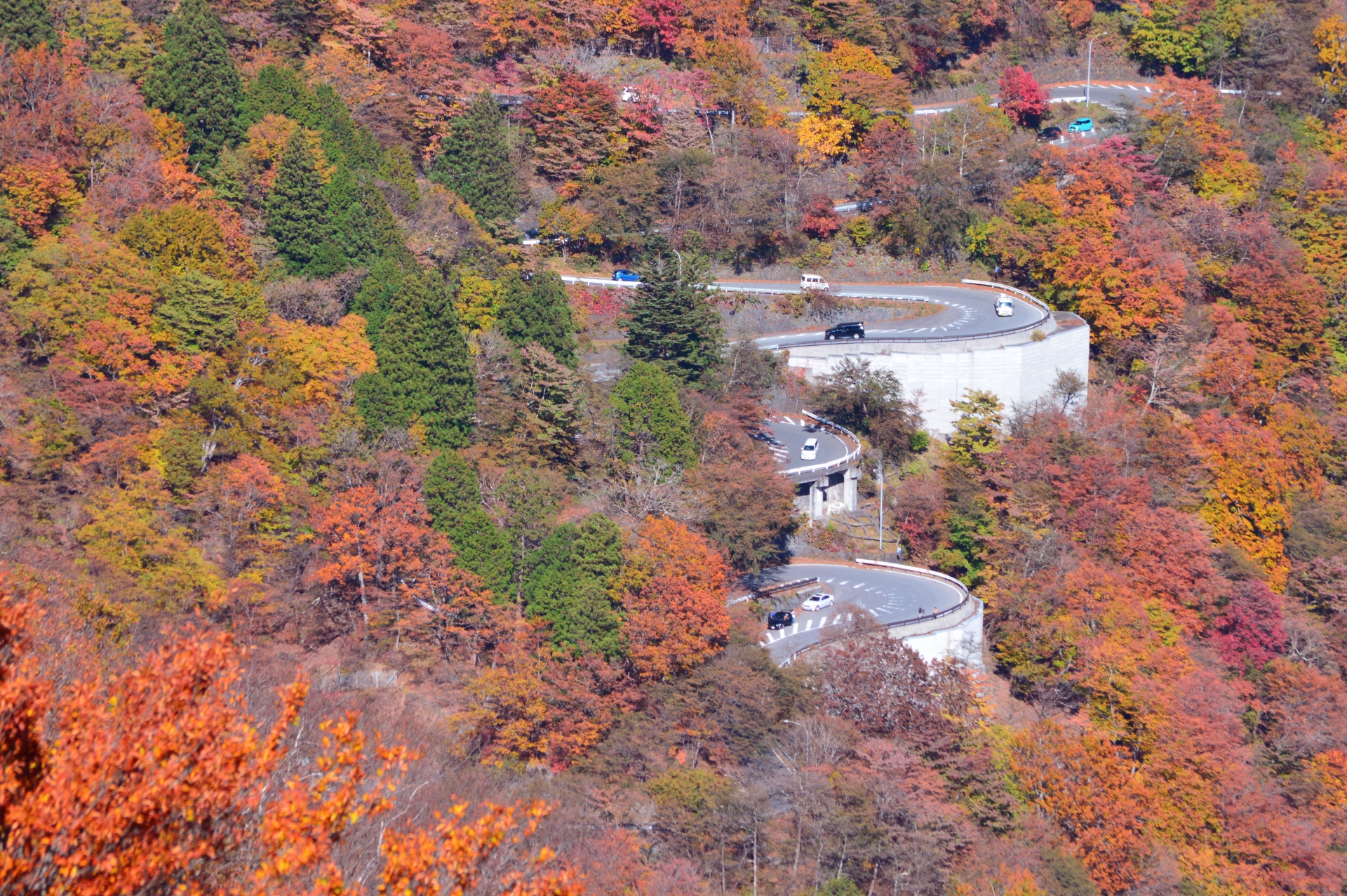 Nikko in Autumn: A Scenic Day Trip from Tokyo 8 2932562 m