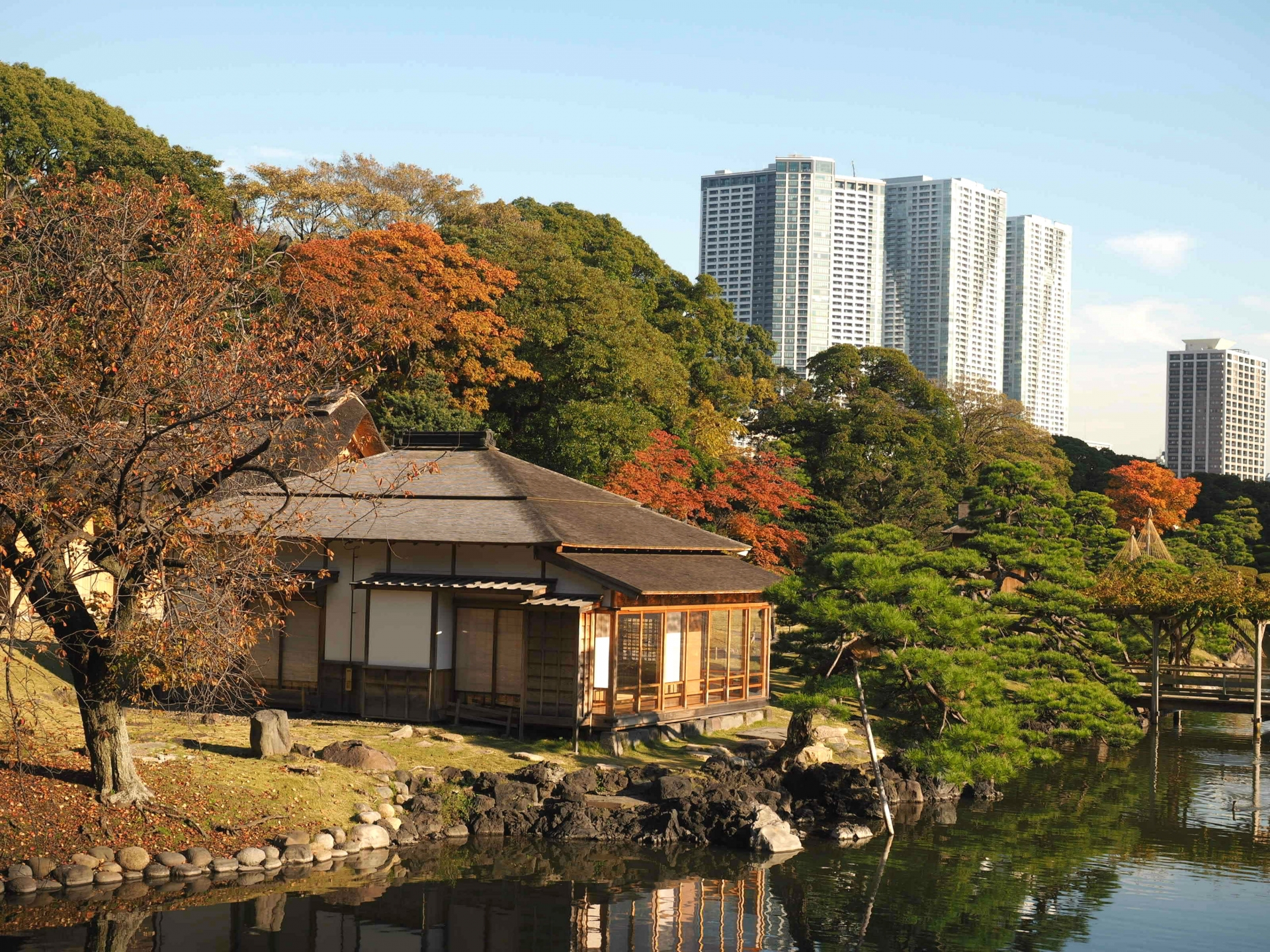 7 Beautiful Autumn Foliage Spots in Tokyo to Add to Your Tokyo Itinerary 8 3004403 m