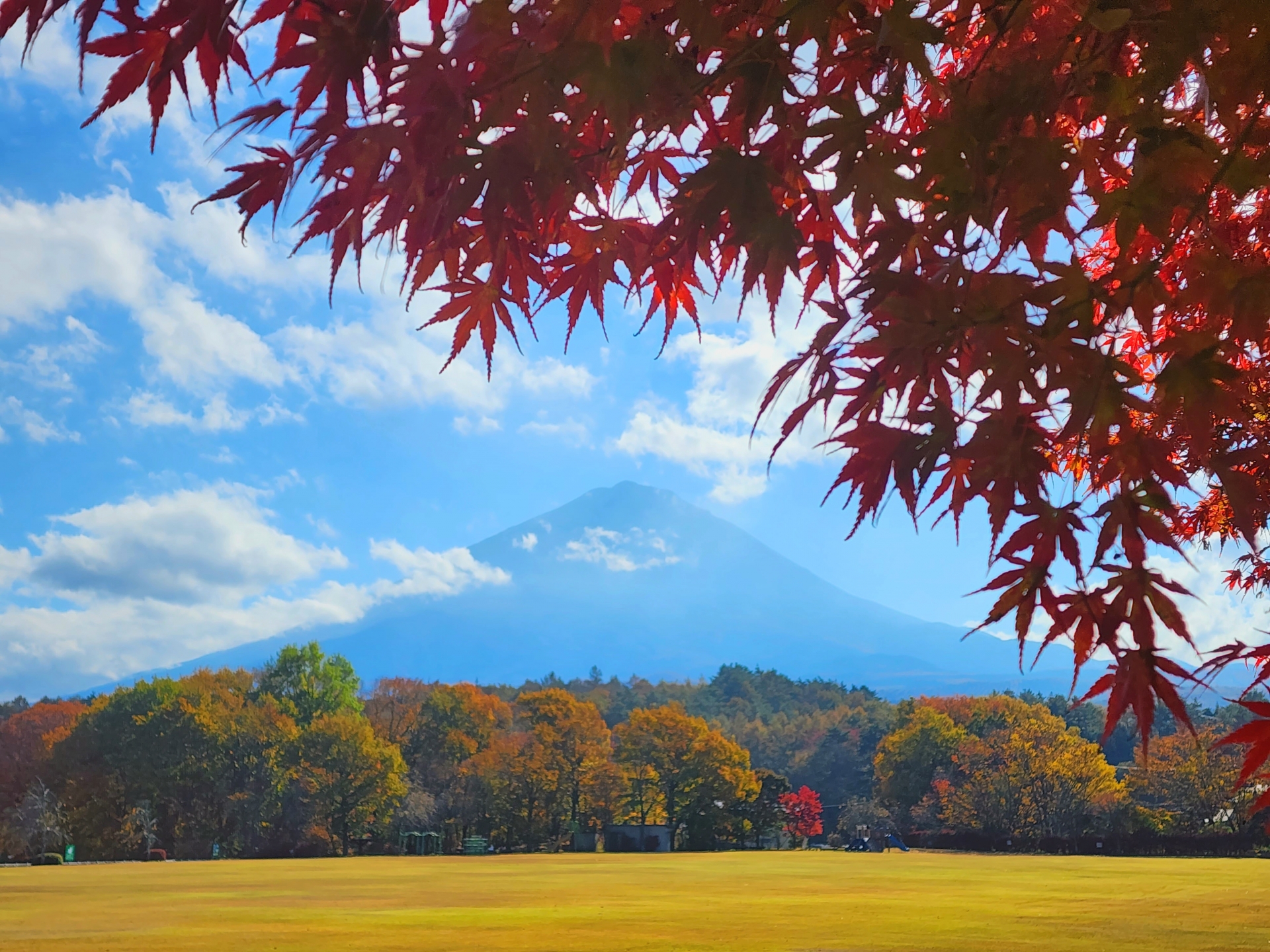 Mt. Fuji in Autumn: 7 Beautiful Places to See Japan’s Iconic Mountain 9 31354905 m