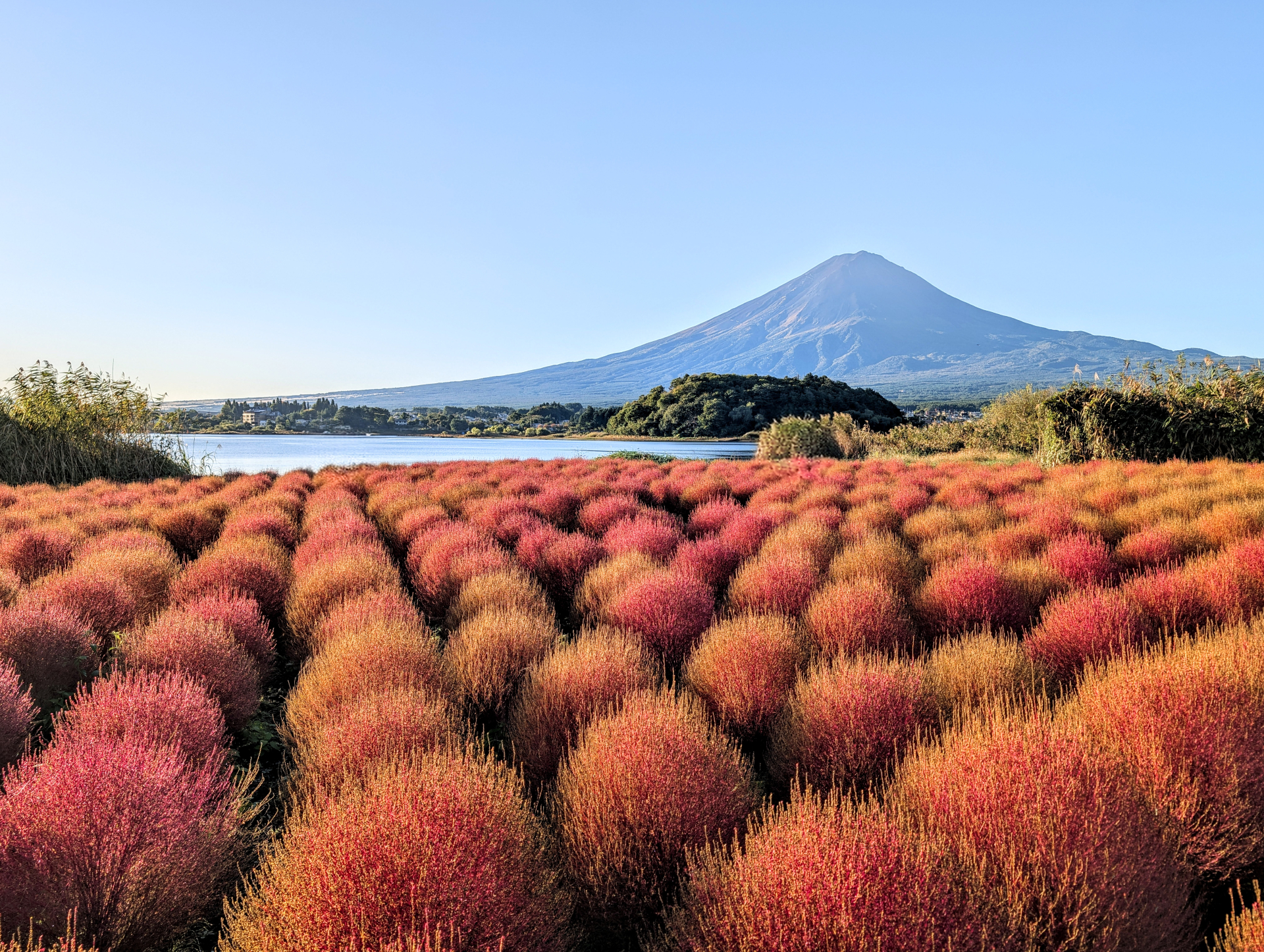 Mt. Fuji in Autumn: 7 Beautiful Places to See Japan’s Iconic Mountain 5 33737479 m