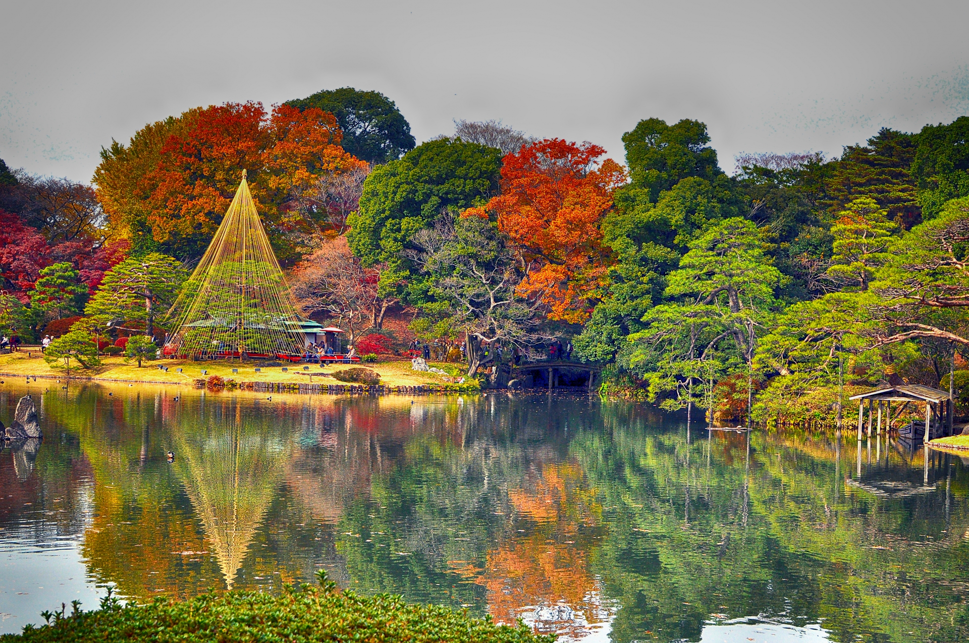 7 Beautiful Autumn Foliage Spots in Tokyo to Add to Your Tokyo Itinerary 5 858687 m 1