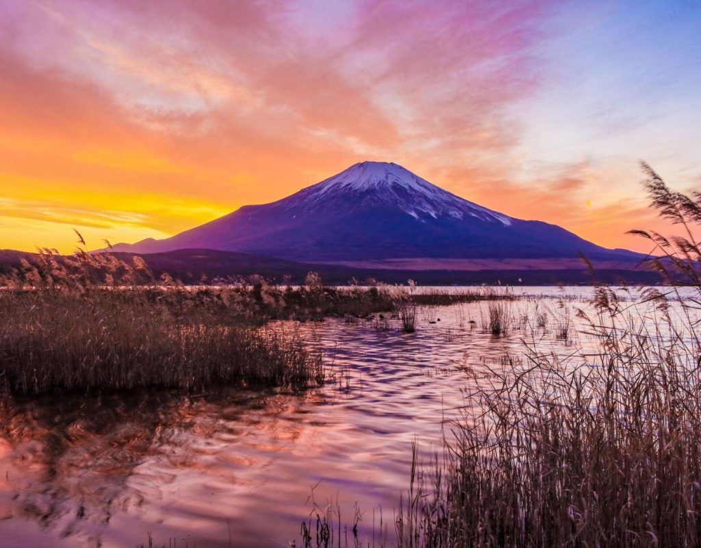 Mt. Fuji