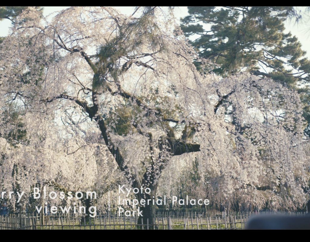 Kyoto